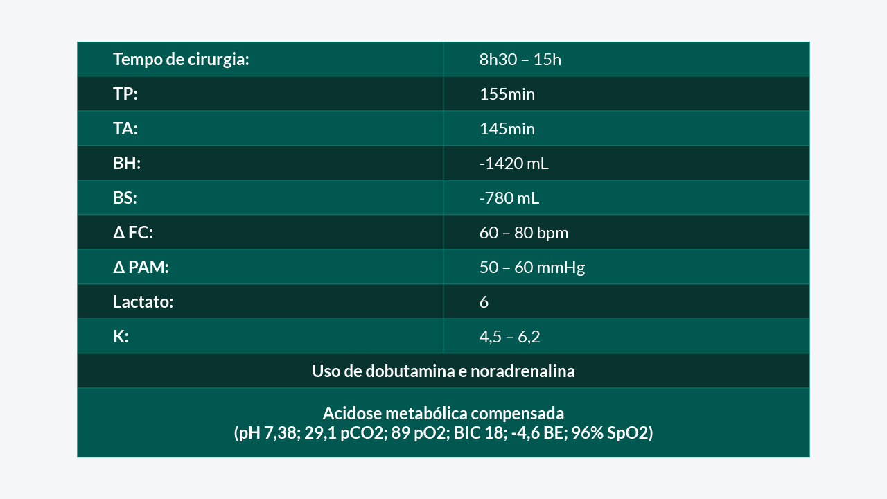 Descrição do infográfico
