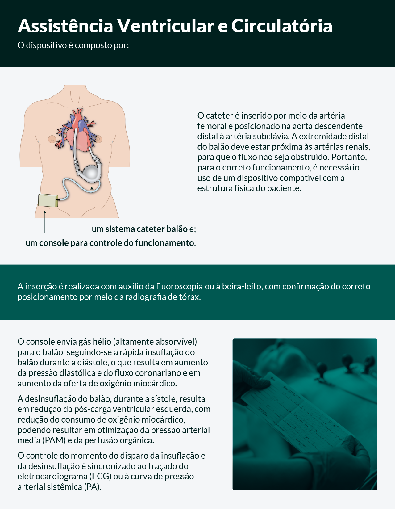 Descrição do infográfico